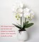 Artificial Orchids Flowers with Vase White Phalaenopsis Plant Silk Faux Orchids Fake Flowers Arrangements for Home Decoration Living Room Office Bedroom Bathroom Kitchen Dining Room